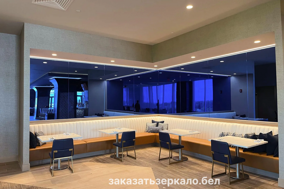Зеркало с тонировкой